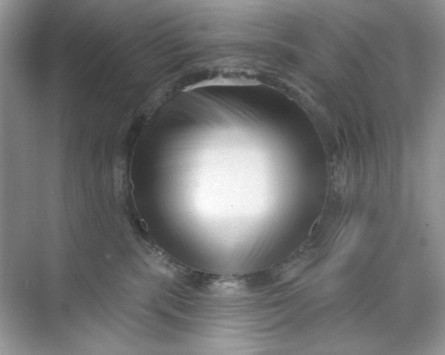 X0000073830283200608311916