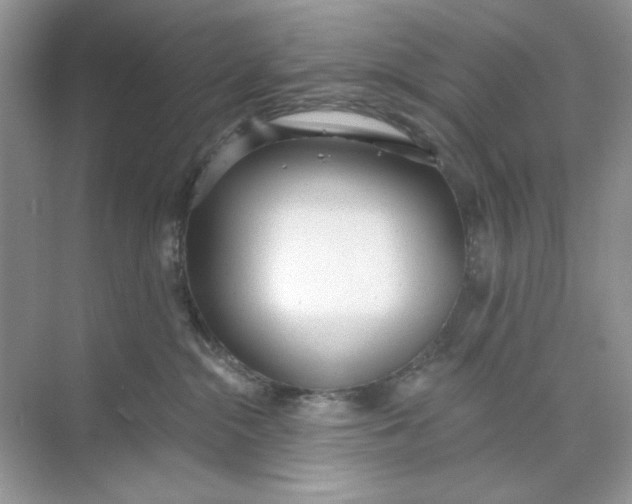 X0000073830284200608311916