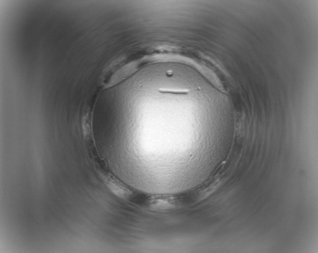 X0000073830285200608311916