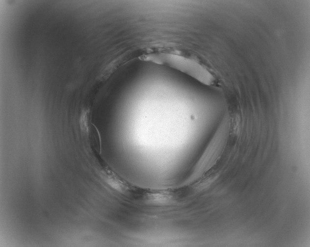 X0000073830286200608311916