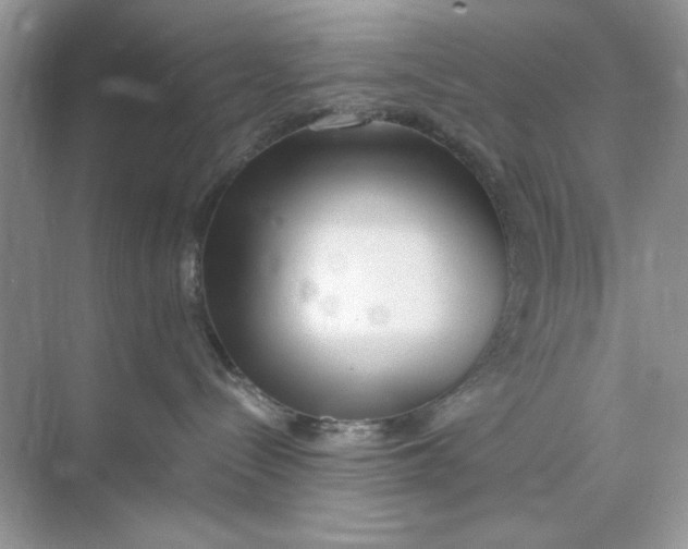 X0000073830288200608311917