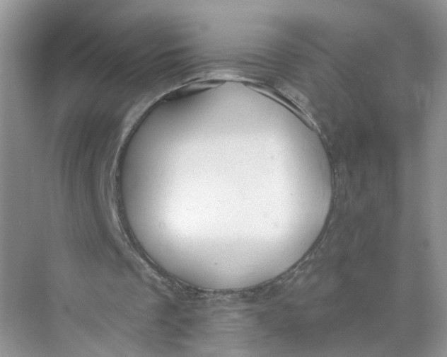 X0000073830289200608311916