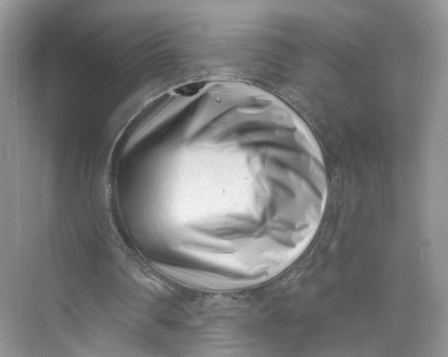 X0000073830290200608311916