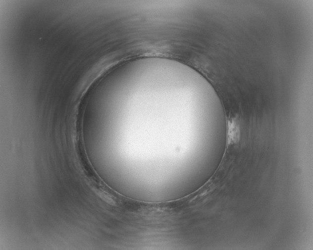 X0000073830291200608311916