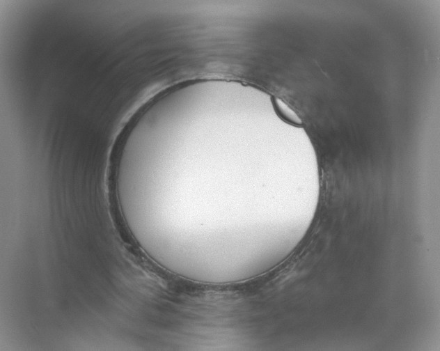 X0000073830292200608311916