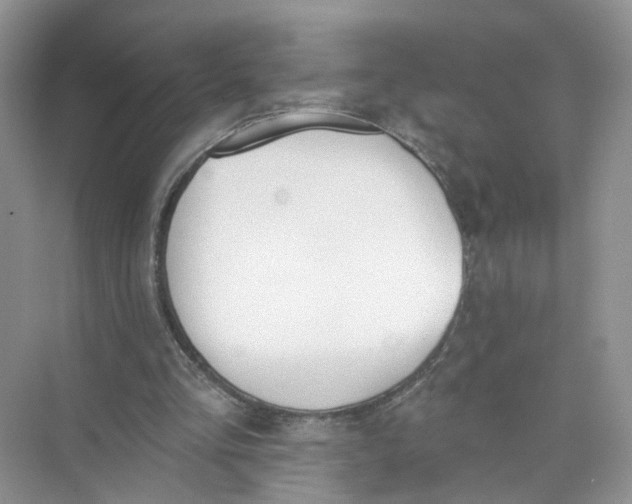 X0000073830293200608311916