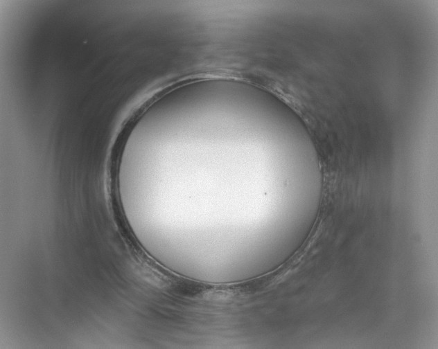 X0000073830294200608311916