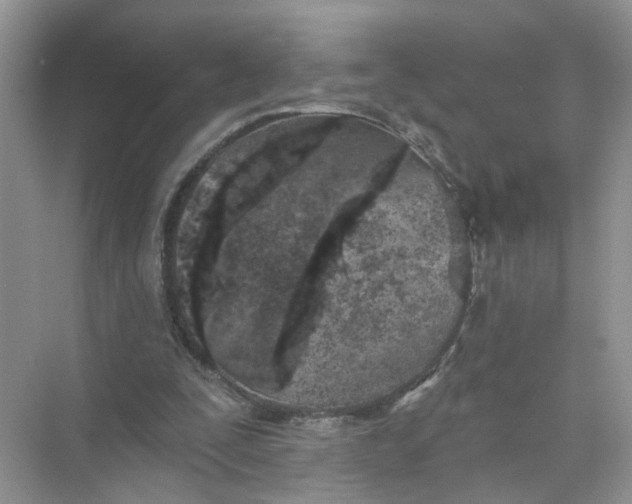 X0000073830295200608311916