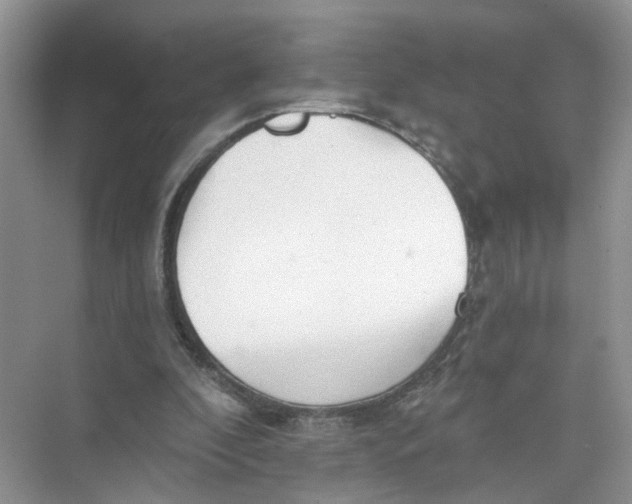 X0000073830296200608311916