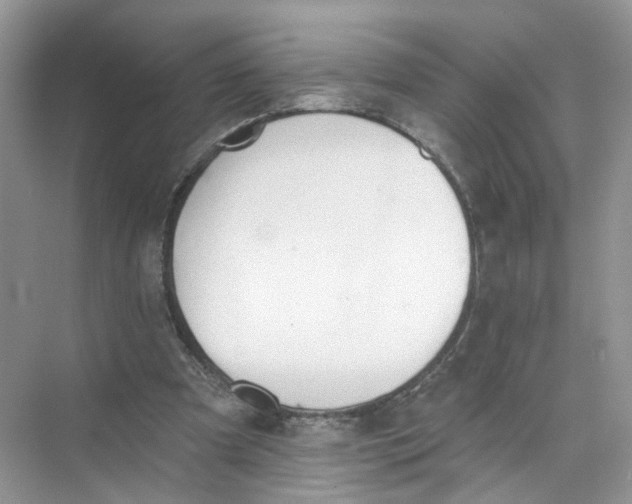 X0000073830297200608311916