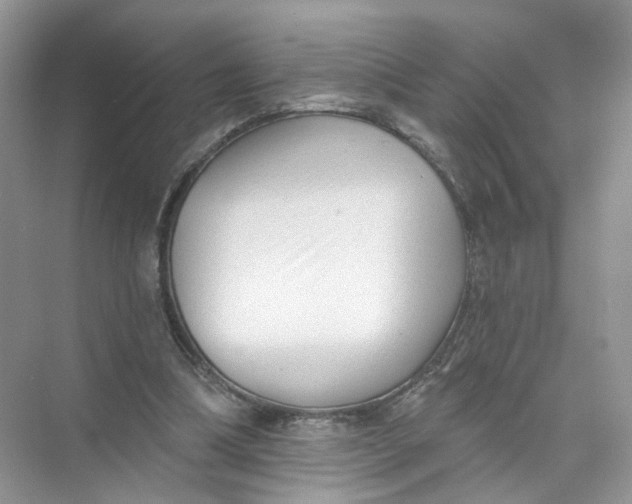 X0000073830298200608311916