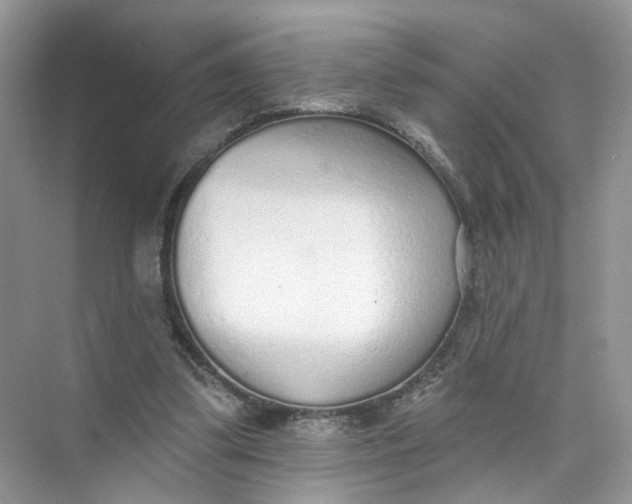 X0000073830299200608311916