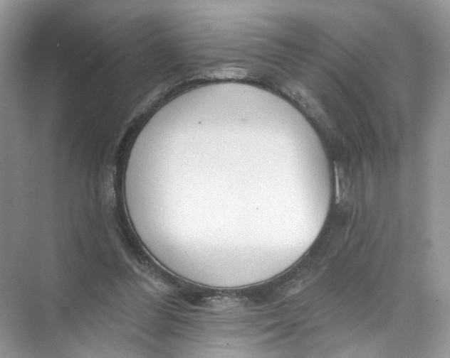 X0000073830300200608311916