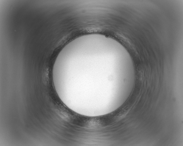 X0000073830308200608311915