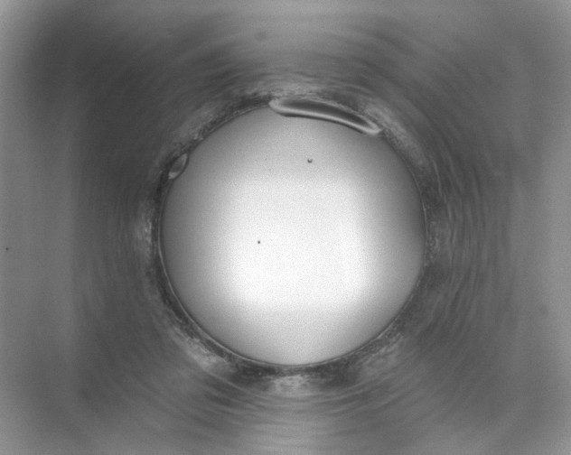 X0000073830309200608311915