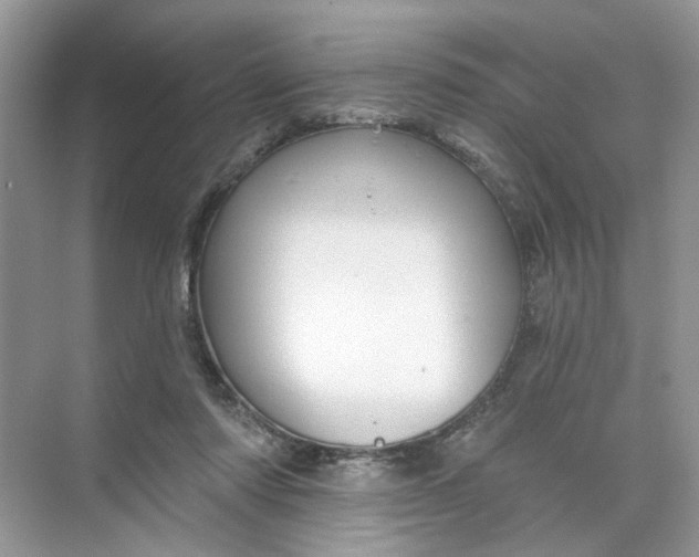 X0000073830310200608311915