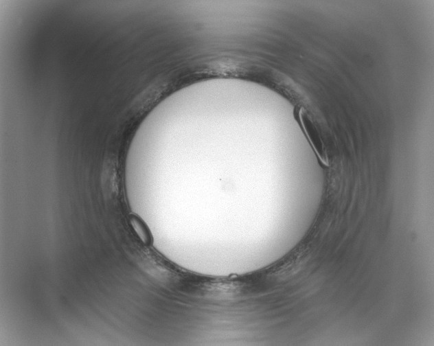 X0000073830313200608311915