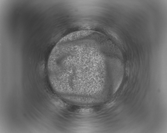 X0000073830314200608311915