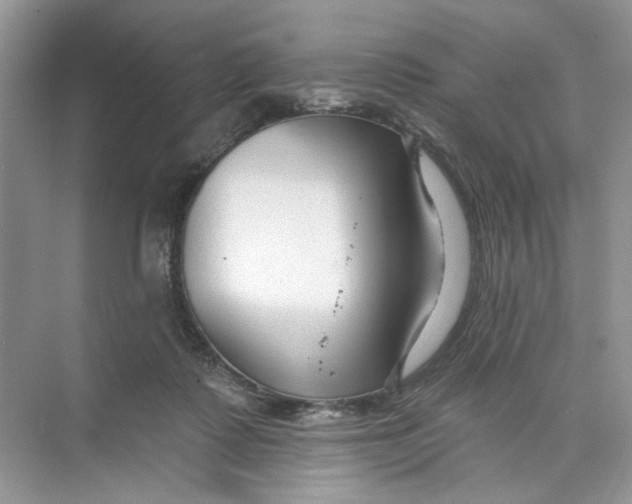 X0000073830315200608311915