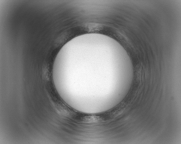 X0000073830316200608311915