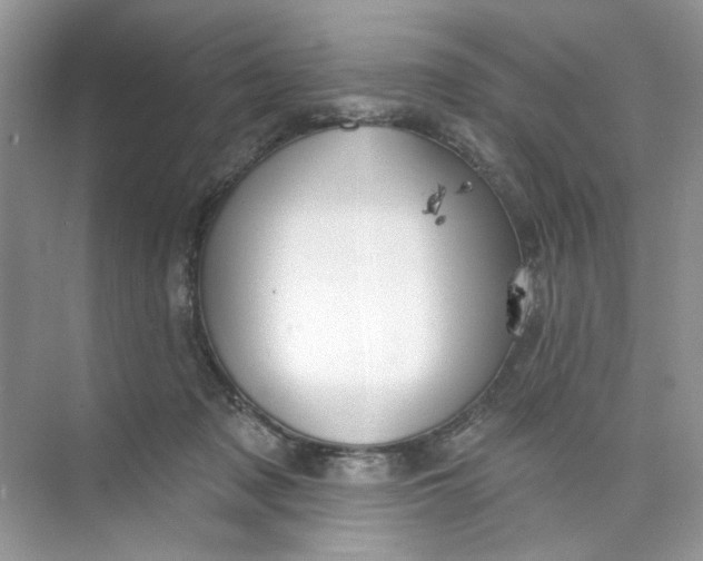 X0000073830317200608311915