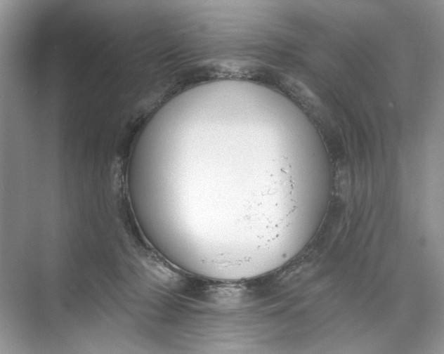 X0000073830318200608311915