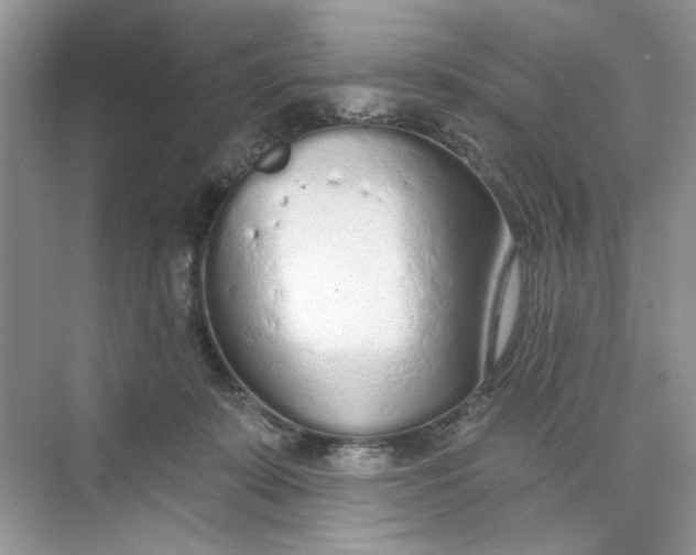 X0000073830319200608311915