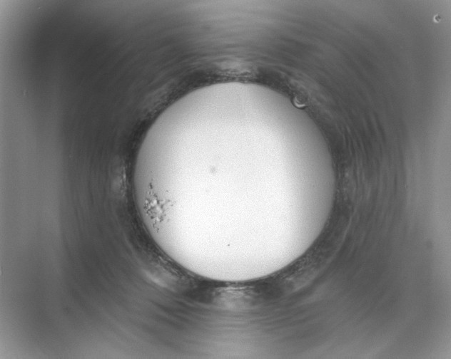 X0000073830320200608311915