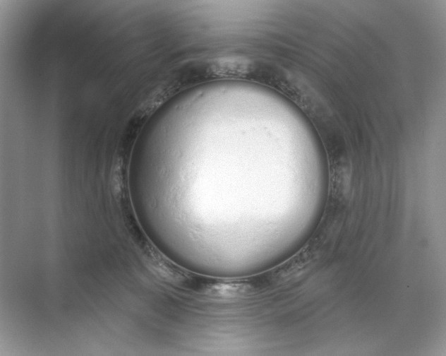 X0000073830323200608311915