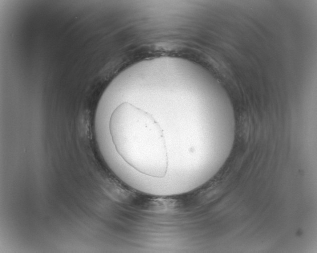 X0000073830328200608311915