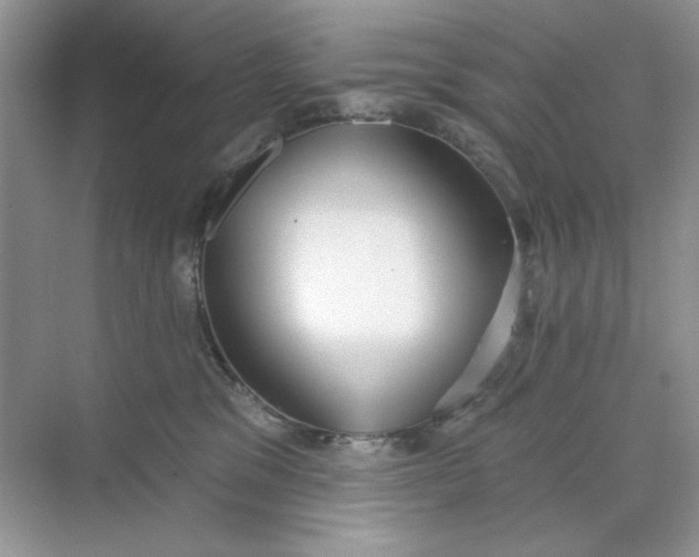 X0000073830329200608311915