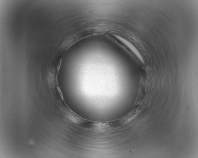 X0000073830333200608311915