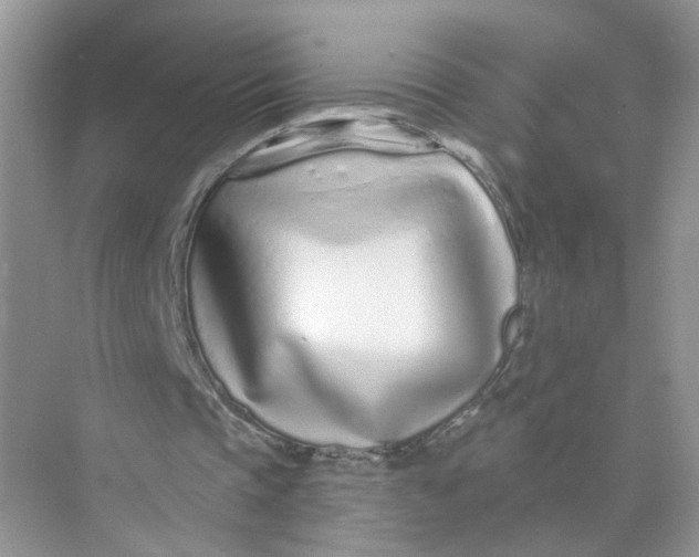 X0000073830337200608311914