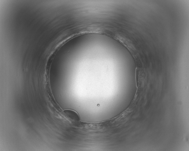 X0000073830338200608311914