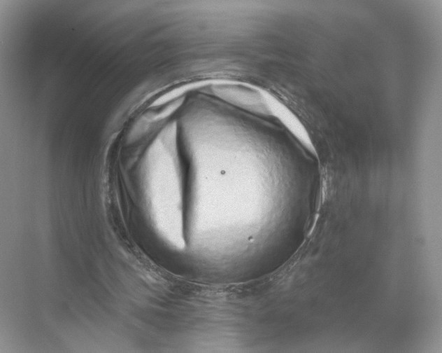 X0000073830339200608311914