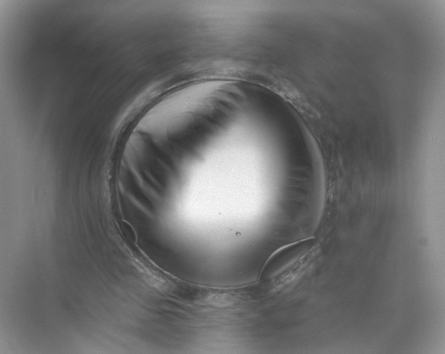 X0000073830341200608311914