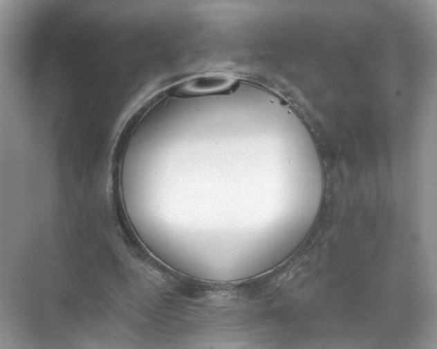 X0000073830344200608311914