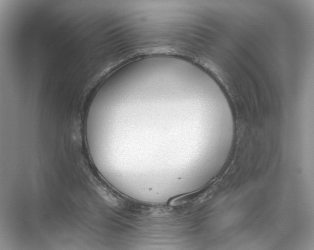 X0000073830345200608311914