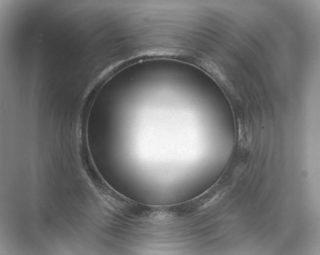 X0000073830348200608311914