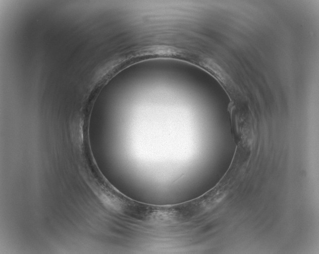 X0000073830350200608311914