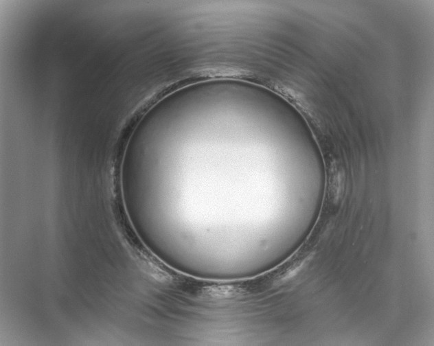 X0000073830351200608311914