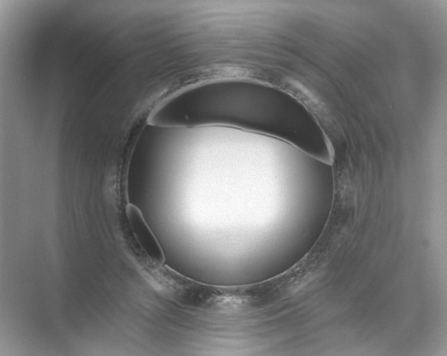 X0000073830352200608311914