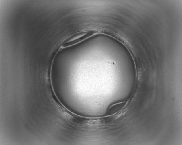 X0000073830353200608311914