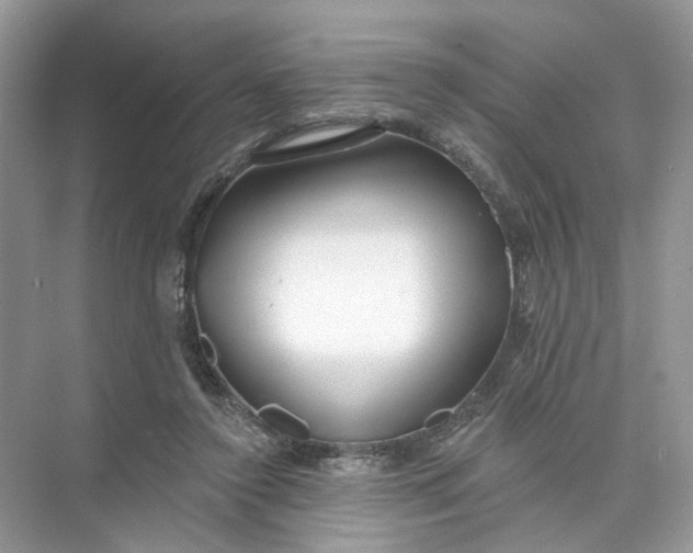 X0000073830356200608311914