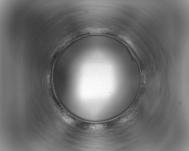 X0000073830357200608311914