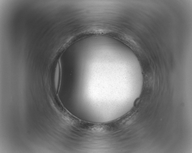 X0000073830358200608311914