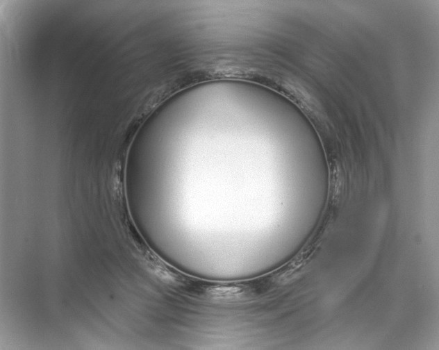 X0000073830361200608311914