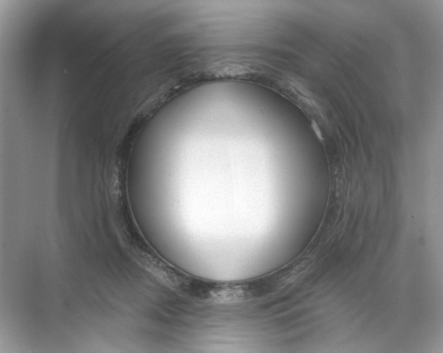 X0000073830362200608311915