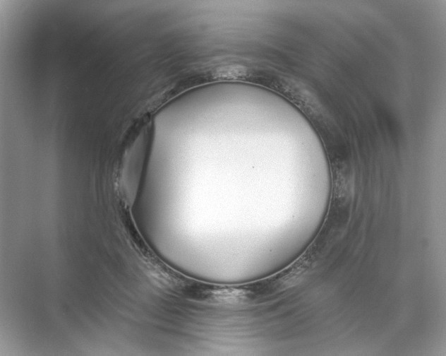 X0000073830363200608311915