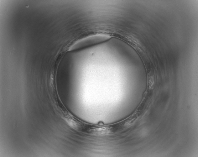 X0000073830365200608311915